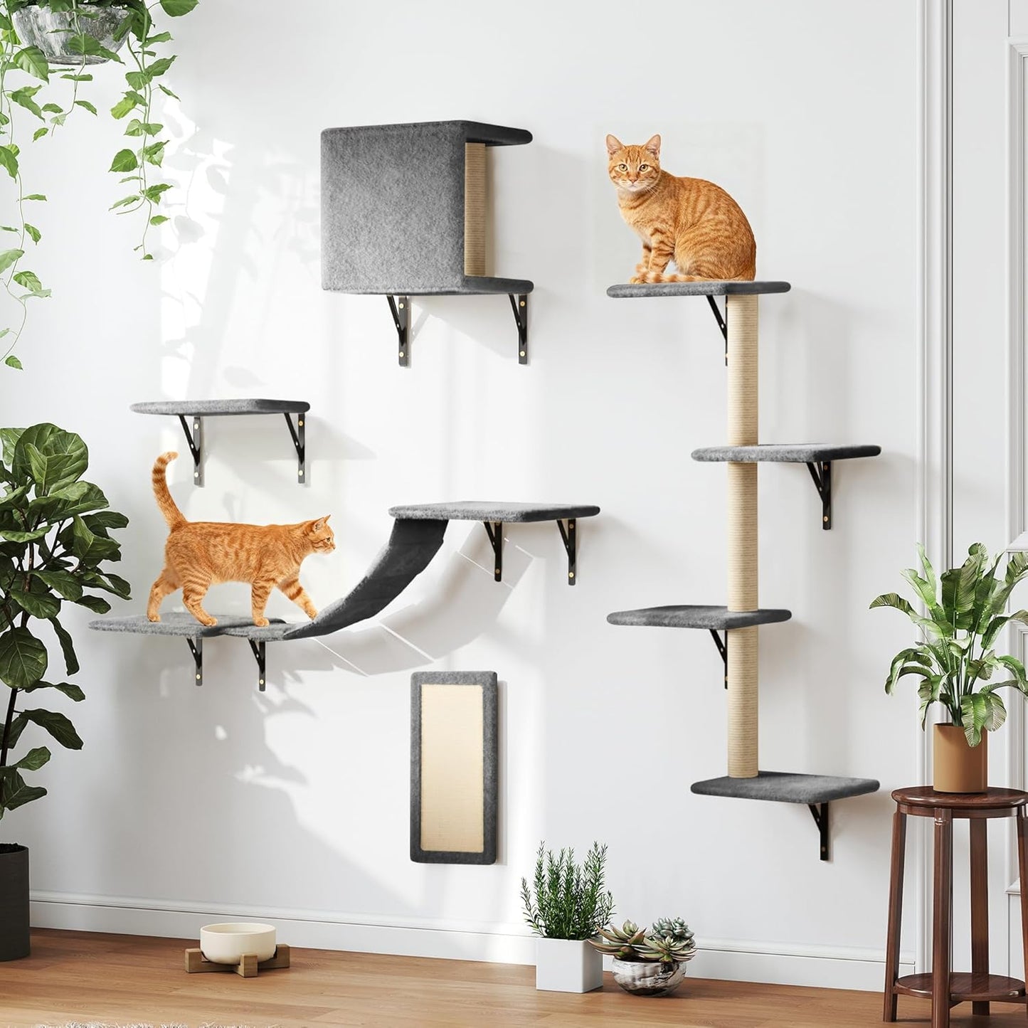 5-Piece Cat Tree Set with Wall Mounted Cat Shelves, Cat Scratching Post & Cat Wall Furniture, Multi-Functional Indoor Cat Jungle Gym, Essential for Cat Room, Suitable for Large Cats(Grey)