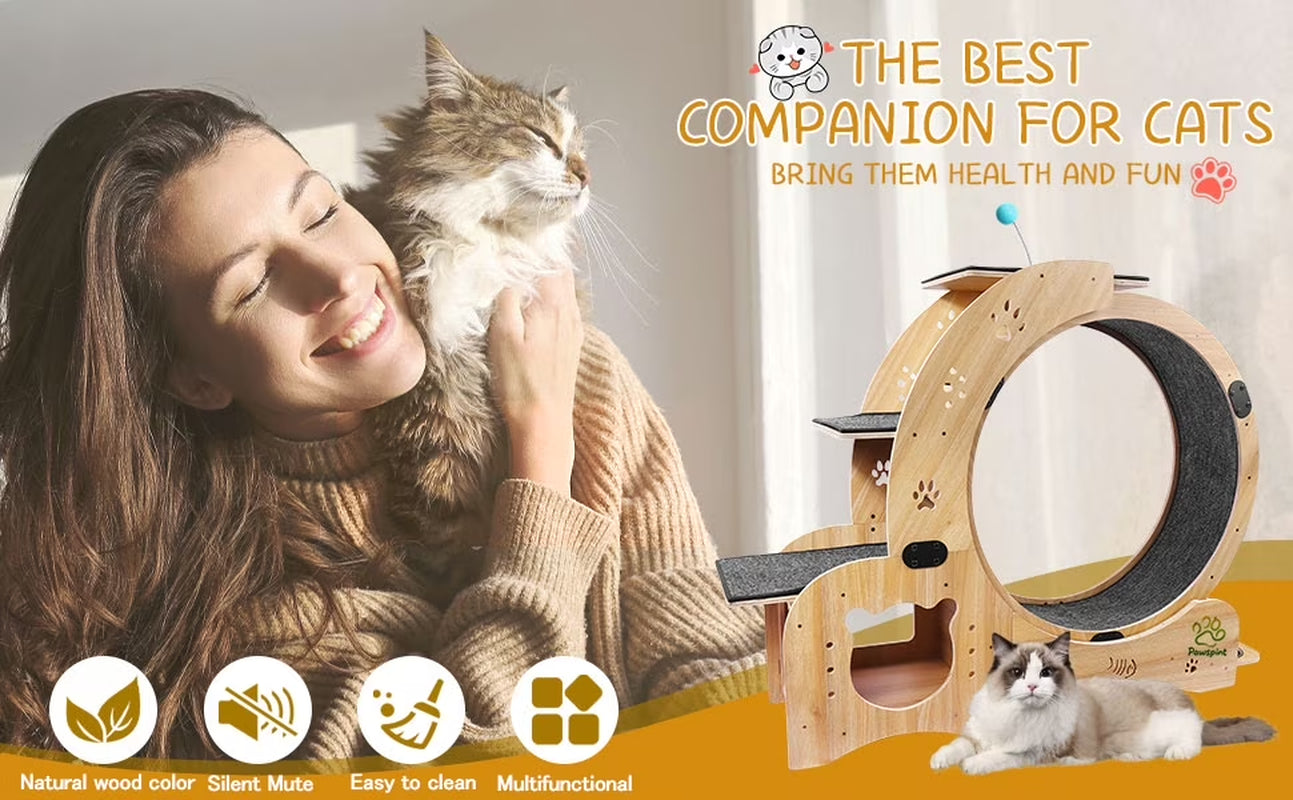 Pawspint 6-In-1 Cat Exercise Wheel, Upgraded Indoor Cat Running Wheel with Silent Track, Large Cat Treadmill for Exercise & Play, Cat Walking Wheel, Cat Furniture & Cat Toy