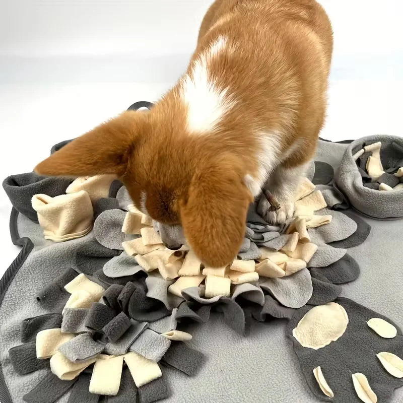 Interactive Snuffle Mat for Dogs & Cats - Nose Work Foraging Toy
