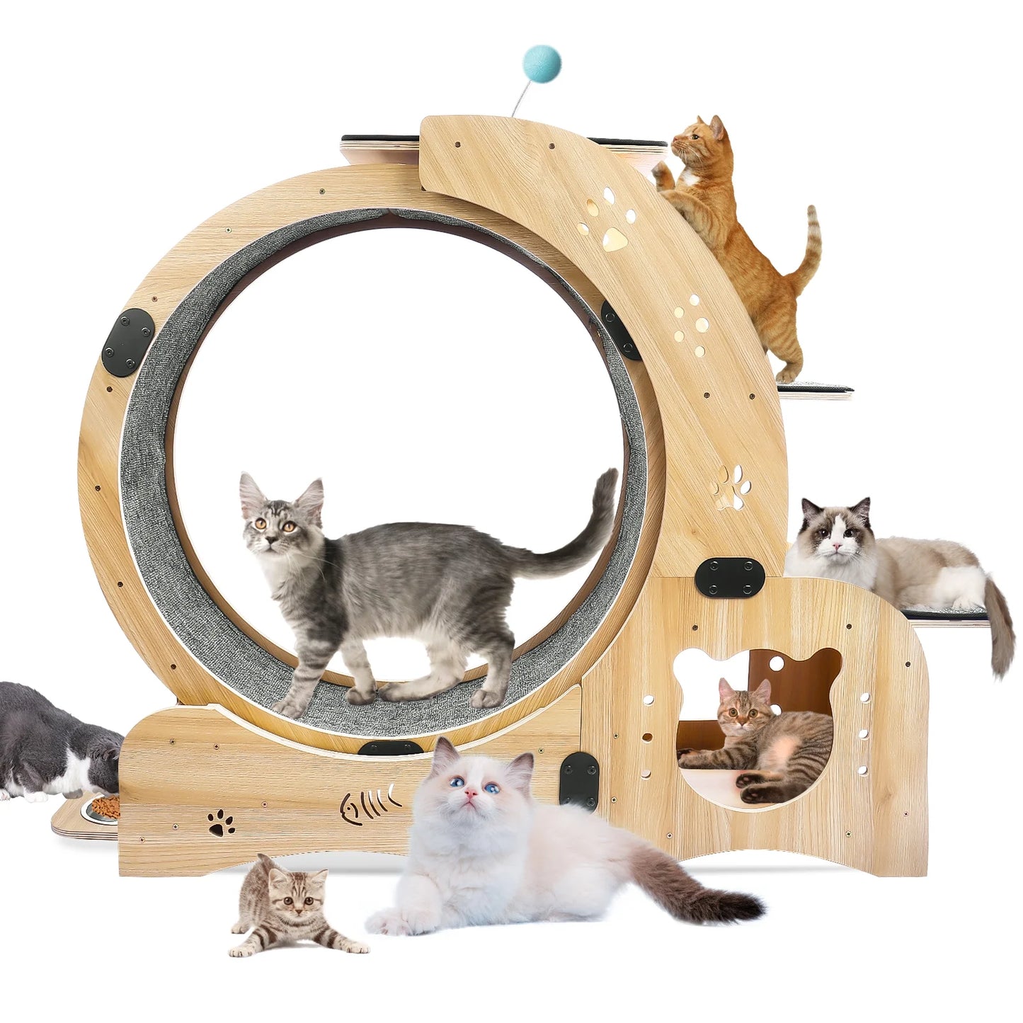 Pawspint 6-In-1 Cat Exercise Wheel, Upgraded Indoor Cat Running Wheel with Silent Track, Large Cat Treadmill for Exercise & Play, Cat Walking Wheel, Cat Furniture & Cat Toy